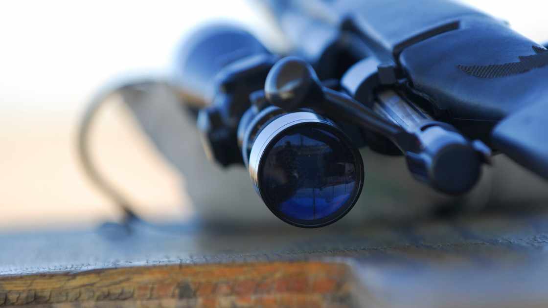 Sharpshooter Secrets: Unveiling the Art of Adjusting a Bushnell Rifle Scope