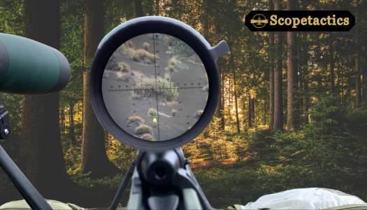 Vortex Optics Strike Eagle First Focal Plane Riflescopes