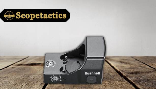 Bushnell RXS250 Reflex Sight_RXS250