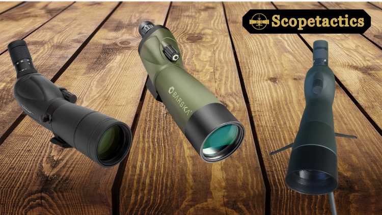 Best Budget Spotting Scopes of 2025